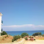 Summer Sun Daire